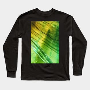 Ivy Long Sleeve T-Shirt